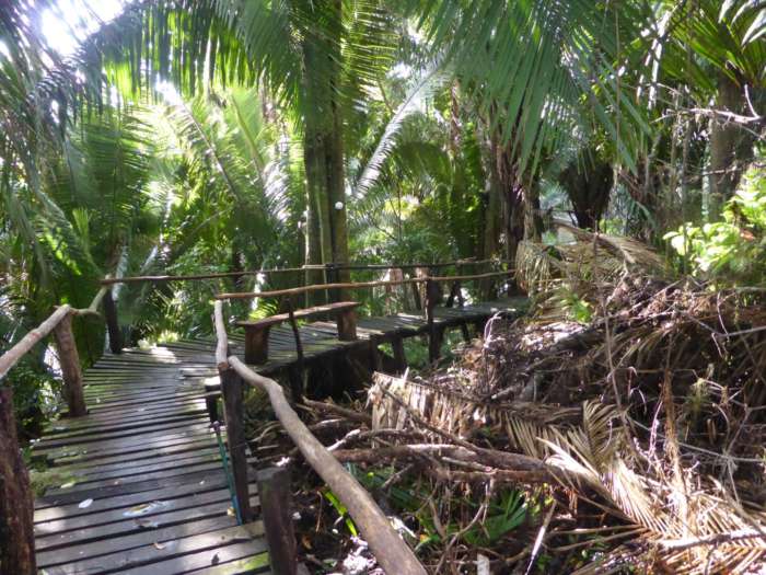 Chiminos Island Lodge, Petexbatun, Guatemala | Beyond The Ordinary