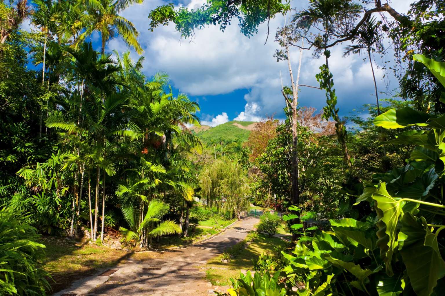 Visit Las Terrazas & Soroa, Cuba 2023/24 | Beyond The Ordinary