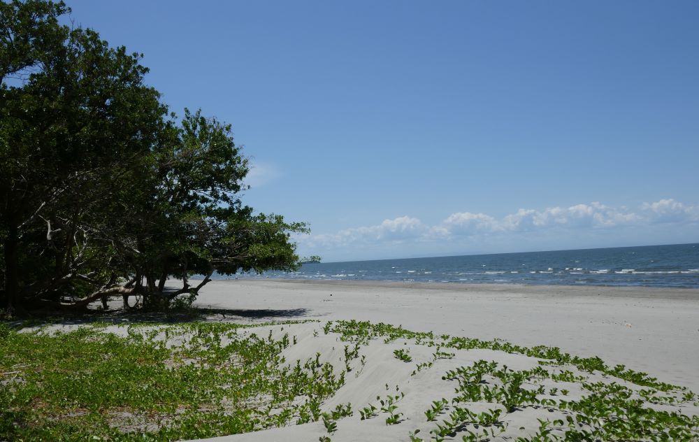 Hotel Playa Santo Domingo Ometepe