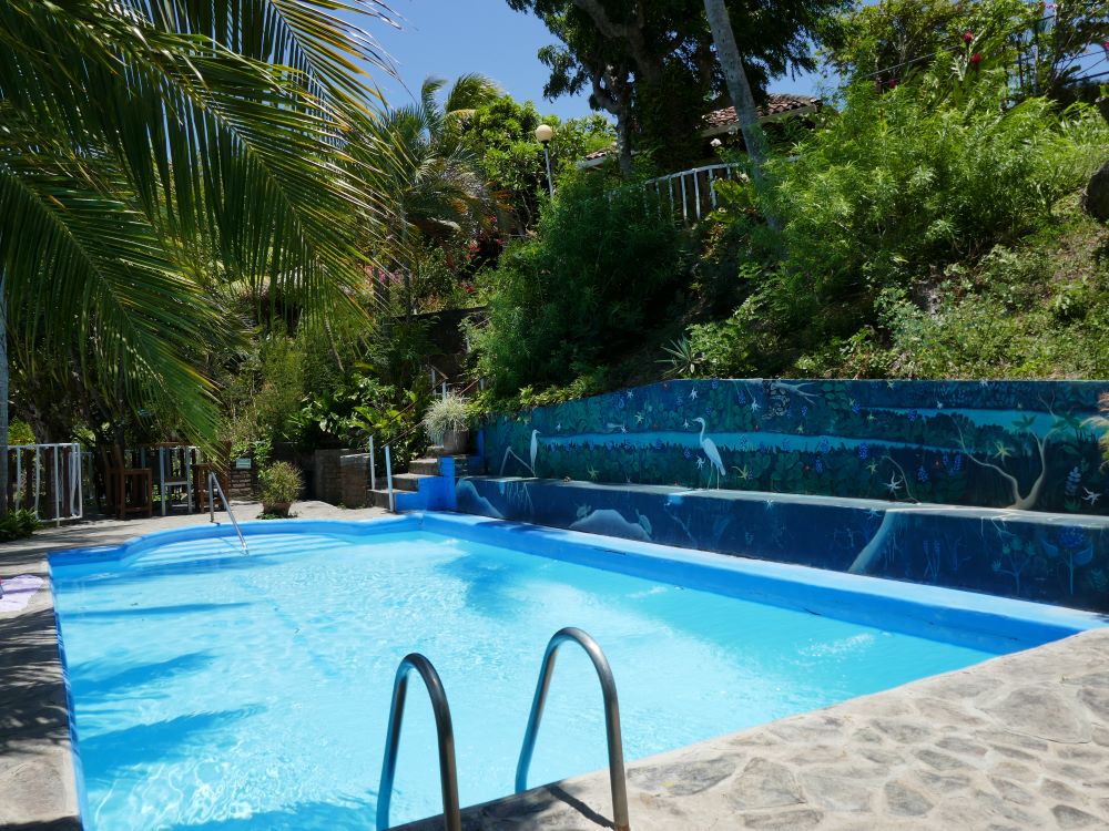 Hotel Swimming Pool Ometepe Island