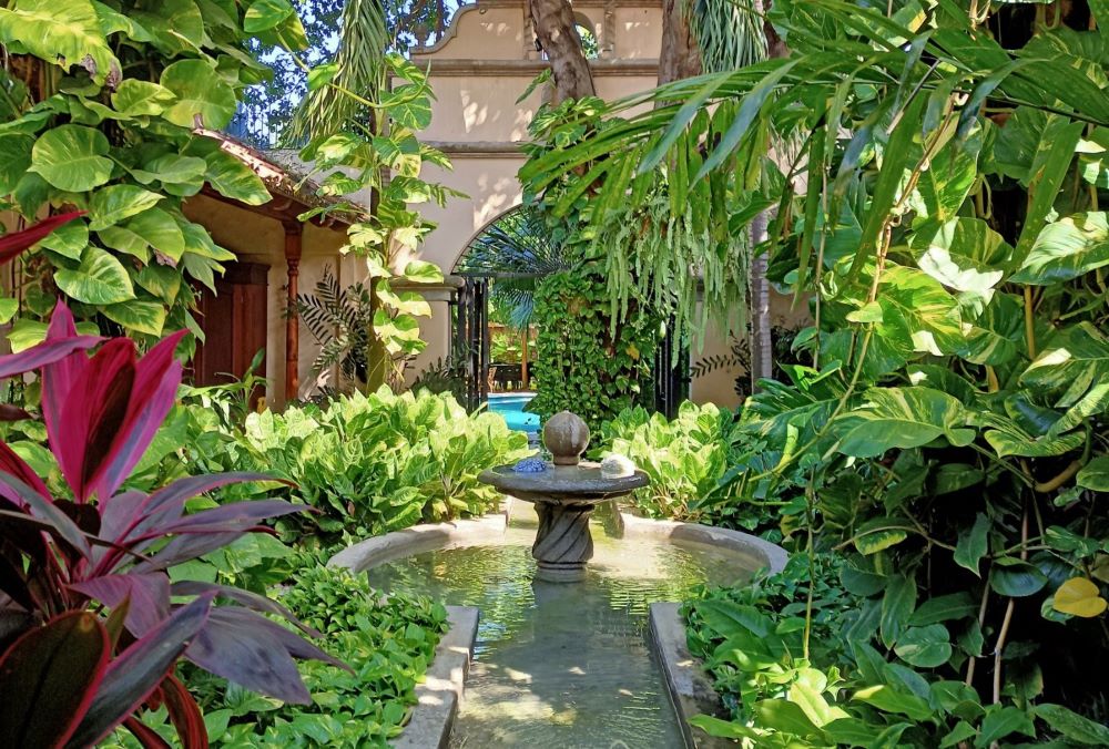 Managua Hotel Courtyard Garden