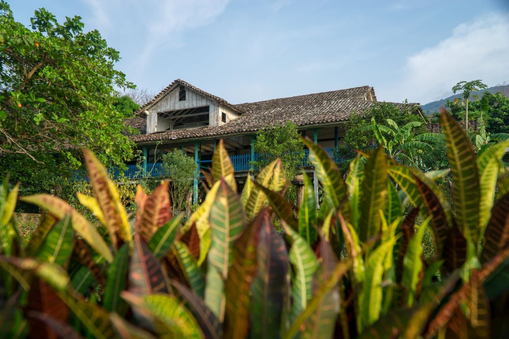 Nicaragua Farm