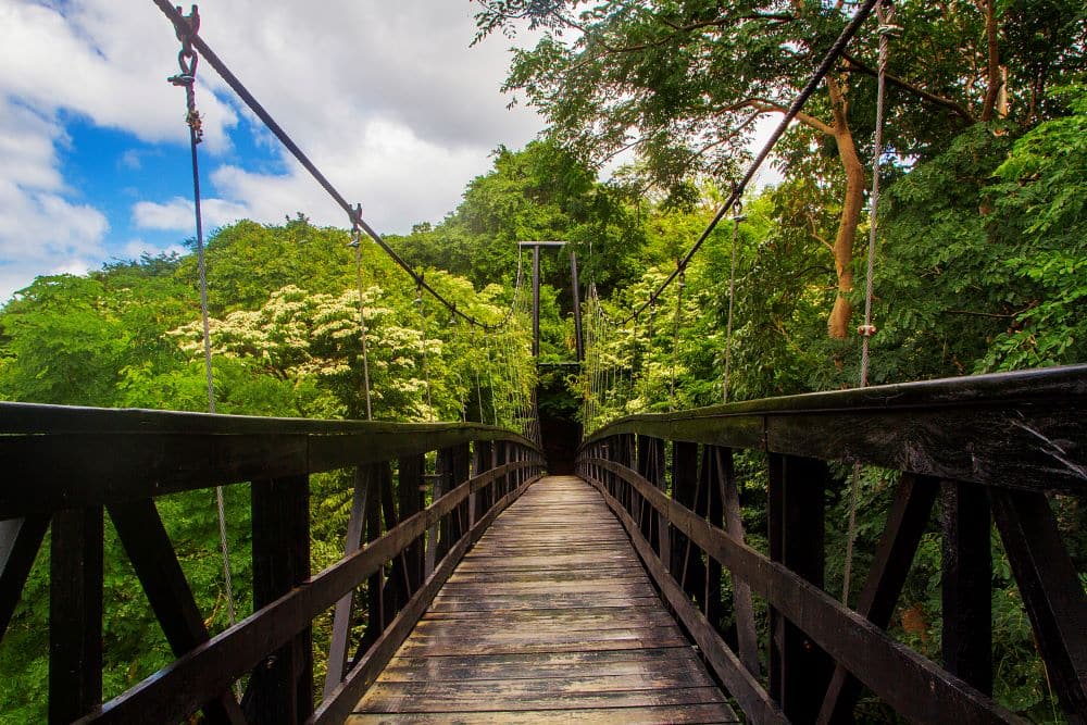 Canopy Walkway Nicaragua Coast