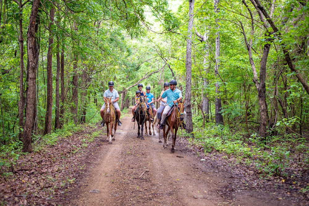 Horseback Riding Morgans Rock Hotel