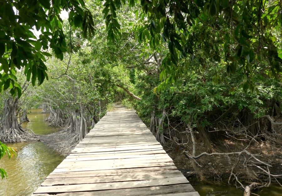 Ometepe Island Jetty Lake