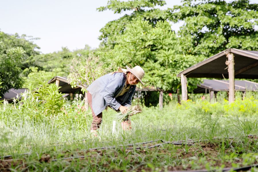 Rancho Santana Farm