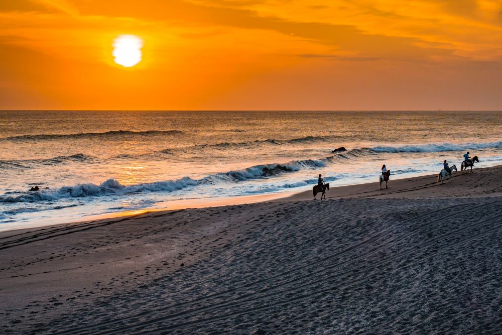 Sunset Horses Nicaragua