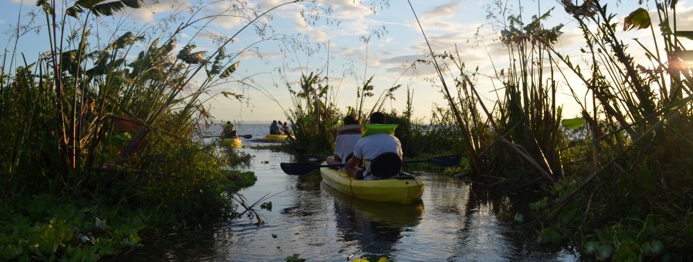 Kayak Honeymoon Experience