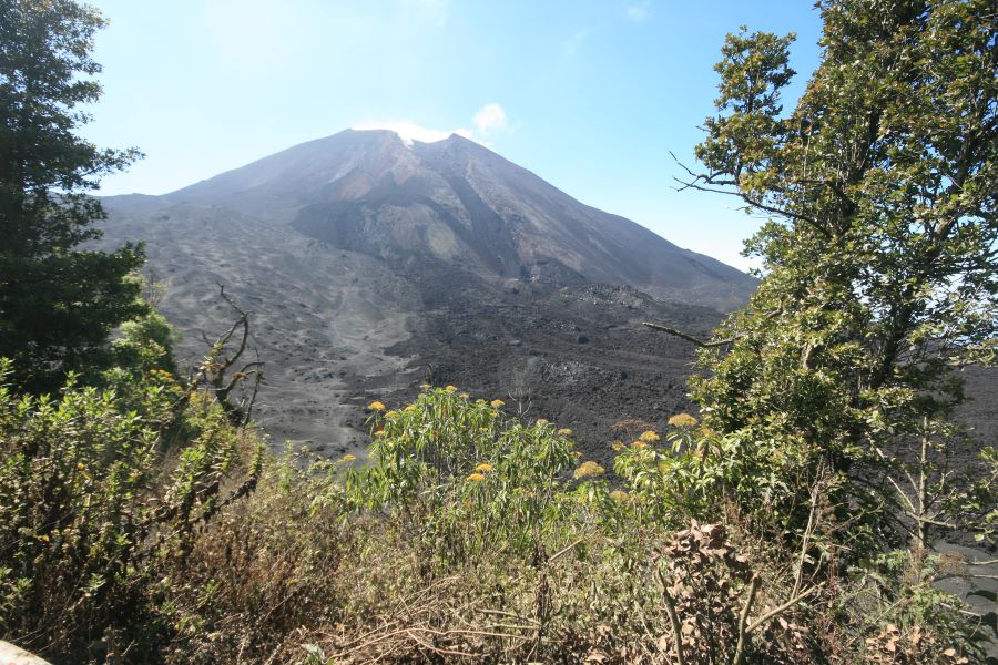 Mt Pacaya Guatemala Tour