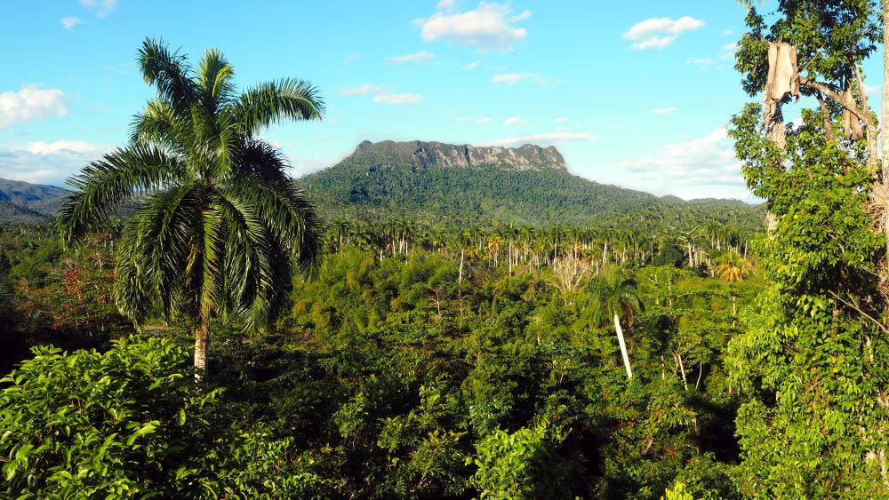 Baracoa El Yunque Cuba Tour