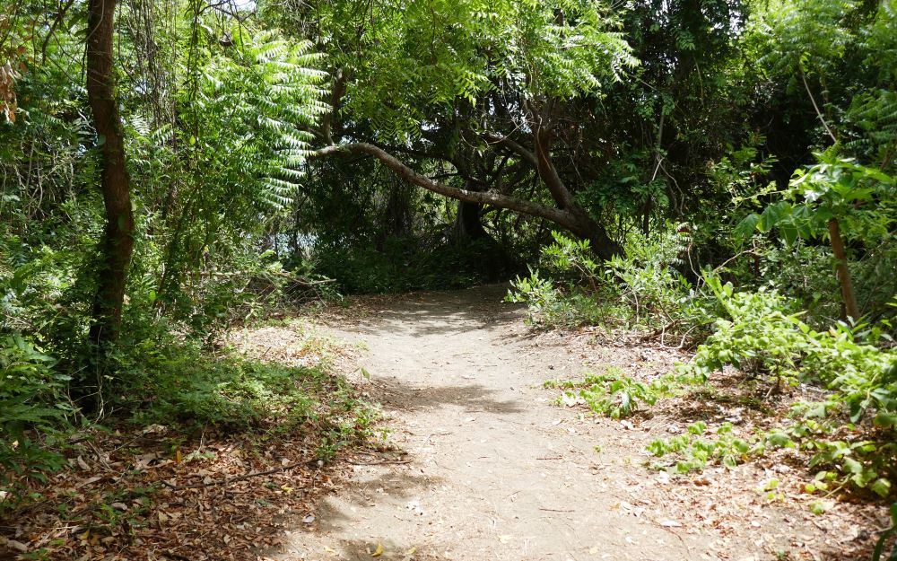 Hiking Ometepe Island