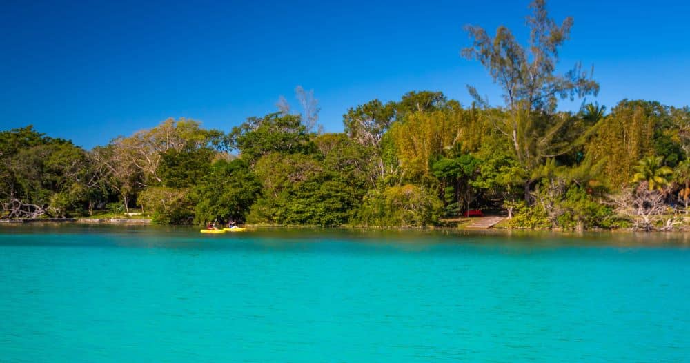 Laguna Bacalar Shoreline Kayaks