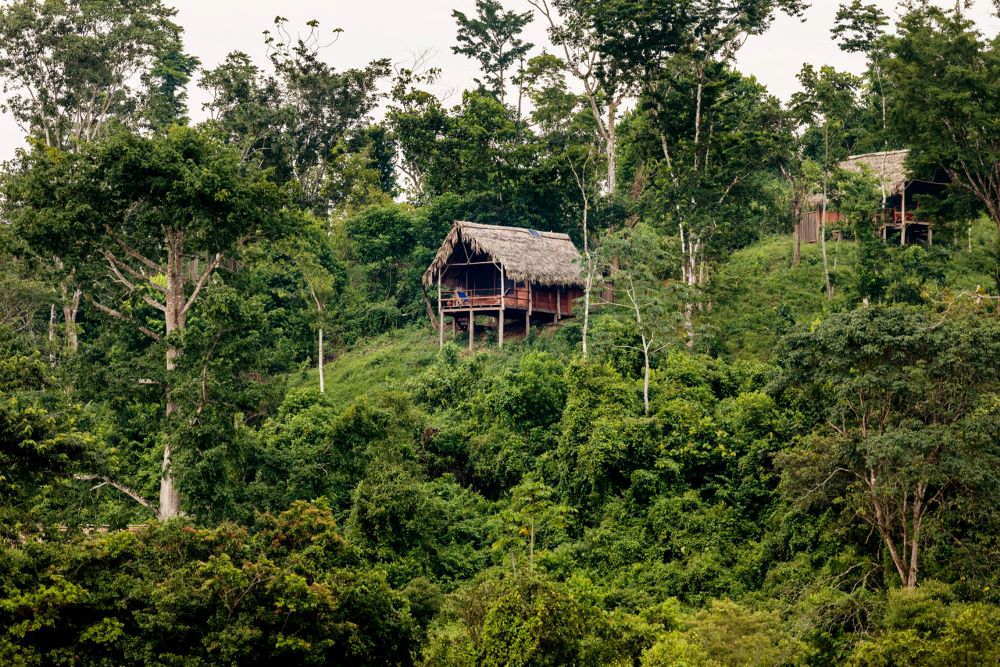 Cabanas In Jungle