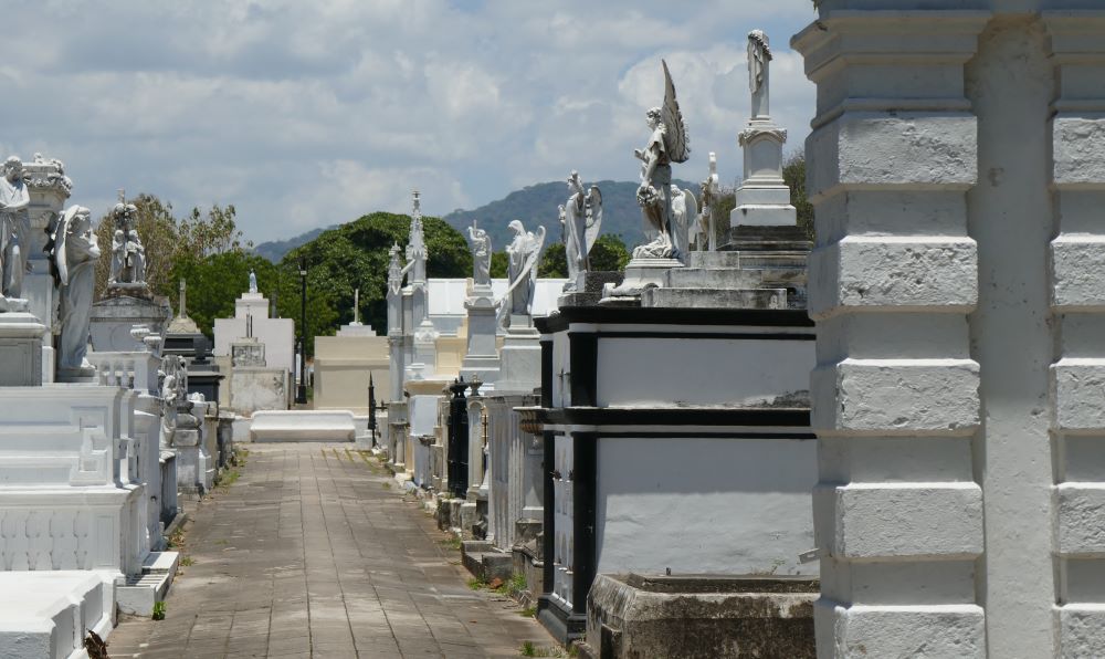 Graveyard Pathway